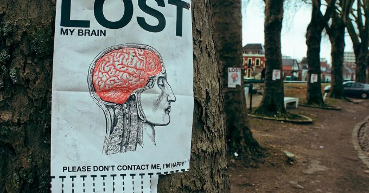 Lost brain. Мозг потерялся. Объявление пропали мозги. Картинка где потерялся мозг.