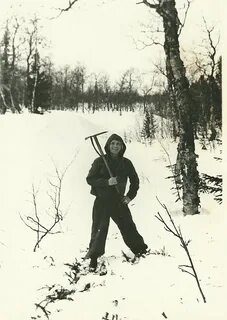 Taina li