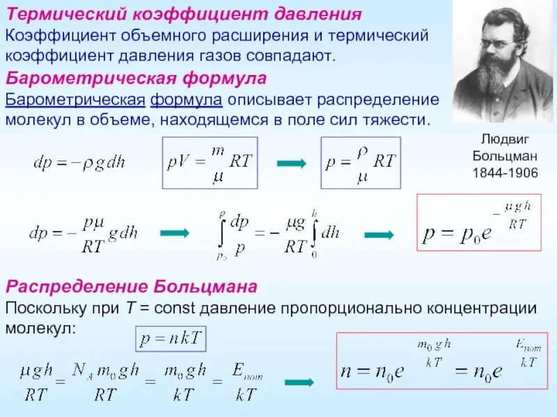 Распределение молекул в поле силы тяжести
