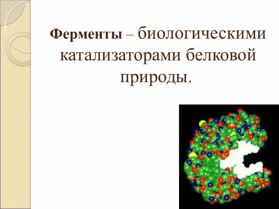 Белковые среды. Ферменты белковой природы. Ферменты это в биологии. Ферменты биологические катализаторы. Ферменты катализаторы белковой природы.