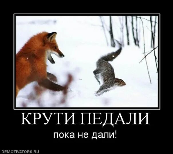 Кручу педали. Крути педали пока не дали песня. Крути педали пока не дали значение. Крути педали пока не дали. Эмблемы крути педали.
