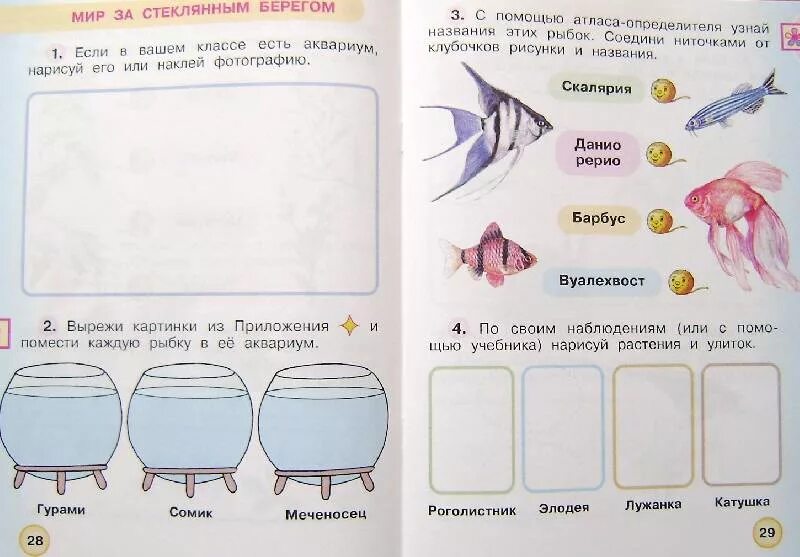 Мир 1 класс номер 4 страница 8. Окружающий мир 1 класс 1 урок. Окружающий мир 1 класс перспектива. Задания по окружающий мир 1 класс. Окружающий мир. 1 Класс. Рабочая тетрадь..