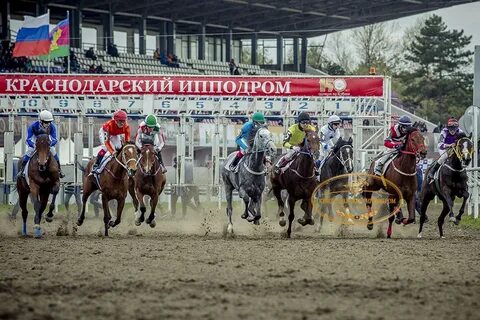 Краснодарский ипподром