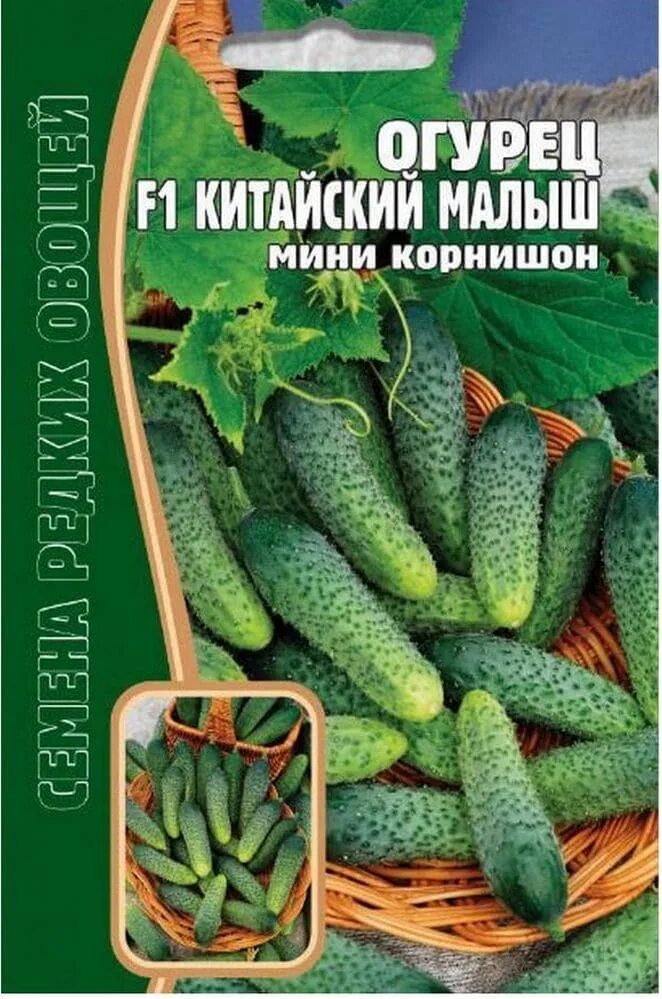 Огурцы сорта малыш. Огурец мини-мини f1. китайский малыш огурец мини корнишон. огурец корнишон f1. огурец мини 7 f1 5шт/10.