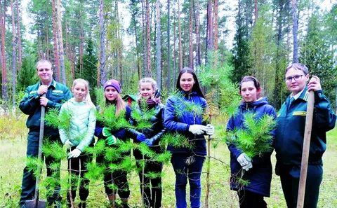 Михайловское лесничество