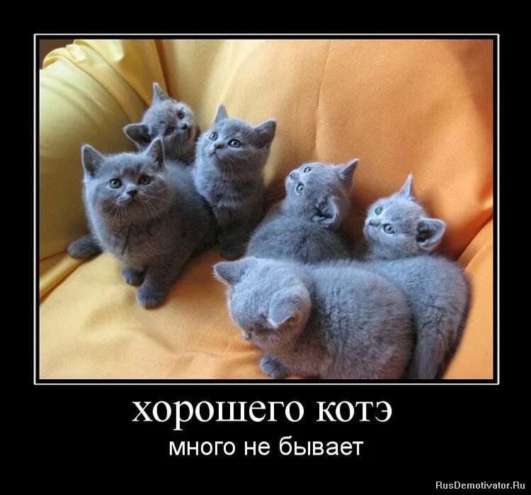 Многие кто бывал
