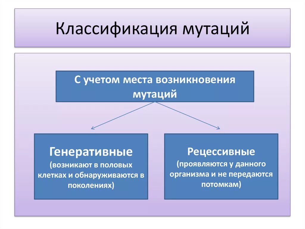 Появление рецессивных мутаций. Классификация мутаций. Место возникновения мутаций. Классификация мутаций по происхождению. Мутации по месту возникновения.