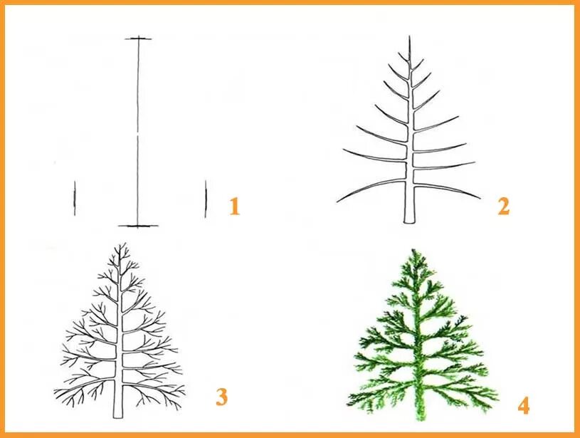 Как нарисовать елку ребенку. Пошаговое рисование дерева. Поэтапное рисование дерева для дошкольников. Схема рисования дерева для детей. Схема поэтапного рисования дерева для детей.