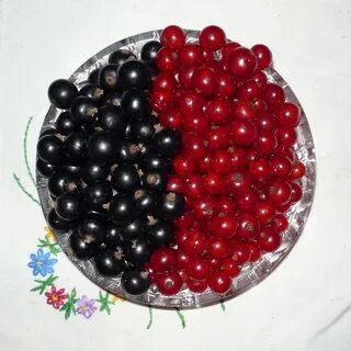 Кг ягод смородины ягоды смородины