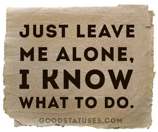 Did you leave me. Leave me Alone. Just leave me Alone i know what to do. Just leave me Alone. Leave me.
