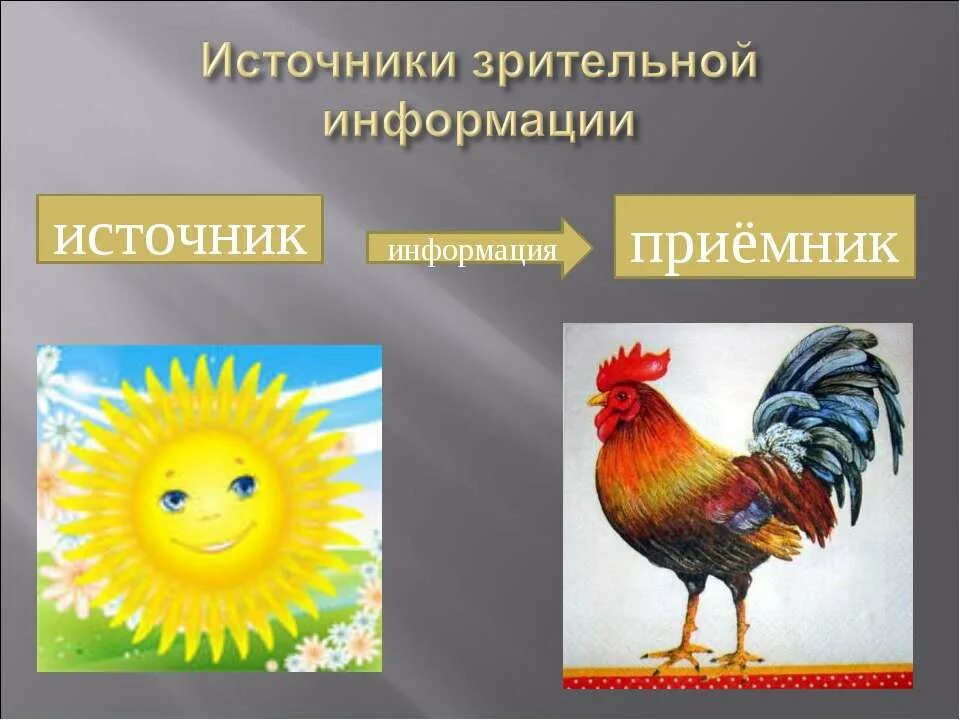 Выберите источники и приемники информации. Схема передачи информации. Приемник информации. Источник информации приемник информации. Источник и приемник информации примеры.