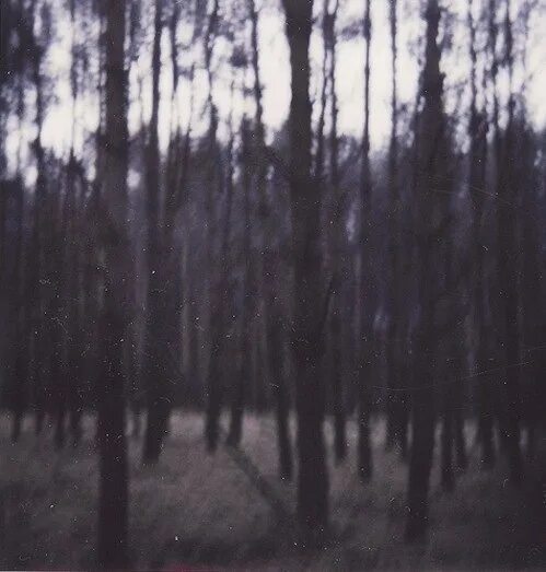 Destroy myself. Destroying myself обои. Depressive Forest. Destroying myself Sad. Here in the Forest Dark and Deep i offer you Eternal Sleep.