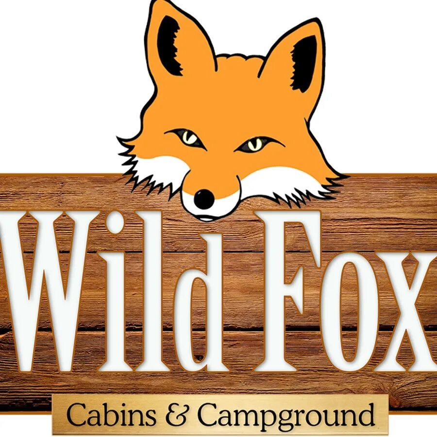 Вайлд Фокс. Rabid Fox. Kseniy Wild Fox. Лис Wild times. Fox wild