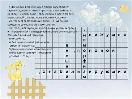 Изменчивость кроссворд