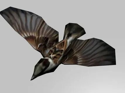 Flying 3d