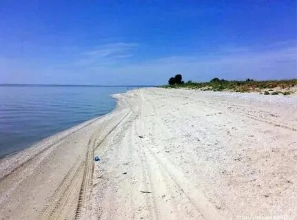 Село новая коса