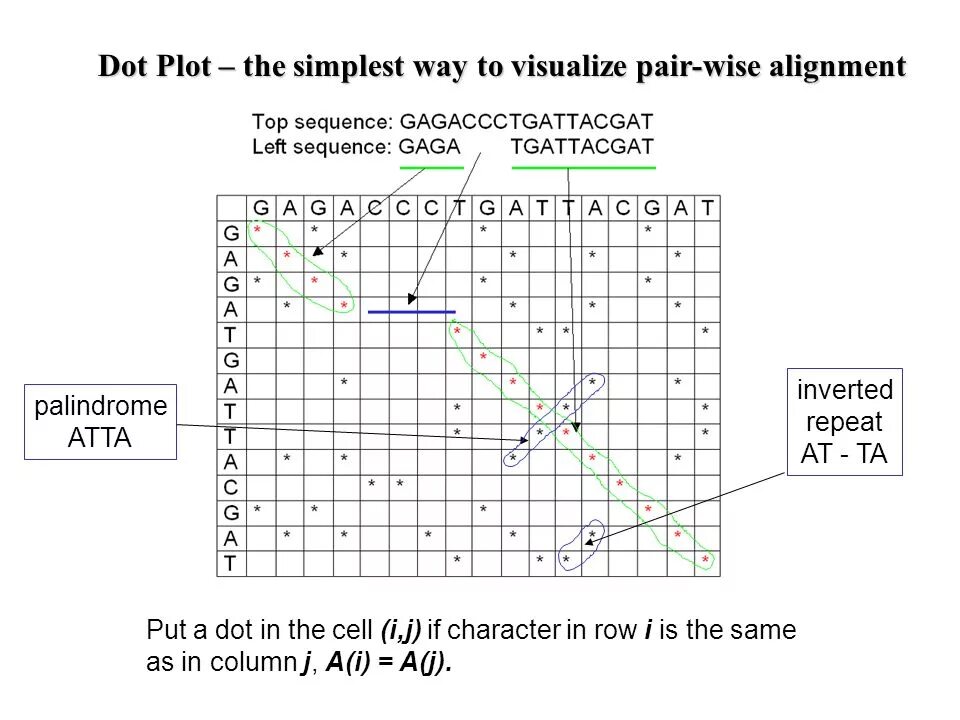 Dot plot. Dot plot (statistics). dot plot (bioinformatics). lattice dotplot r отображение сетки.