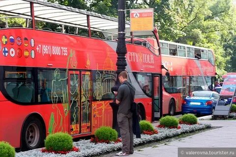 Сити тур петербург