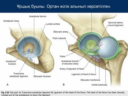 Алдау арқылы порно секс көру