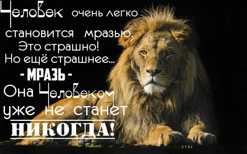 Как стать мразью. Цитата про подонка человека. Про людей подонков цитаты. Люди ублюдки цитаты. Цитаты мужик ничтожество.