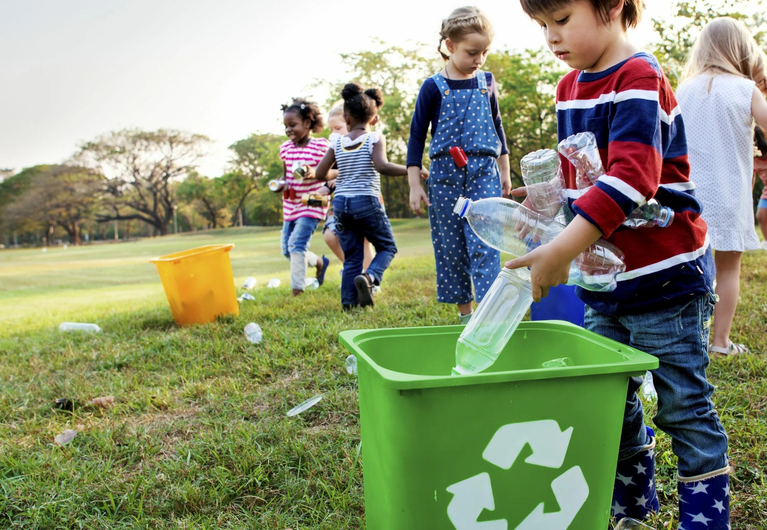 Clean the environment