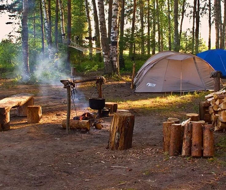 Палаточный лагерь в лесу у реки. Место отдыха в лесу. Обустройство походного лагеря. Туризм с палатками. Tourist camping