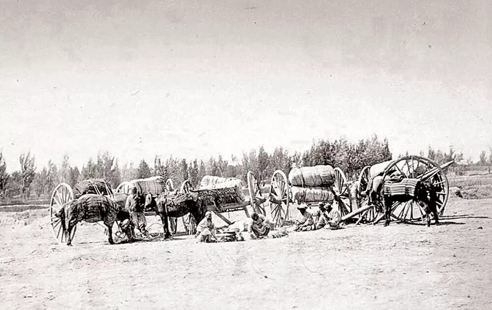 Переселенцы 19 век. Крестьяне переселенцы Сибирь 19 век. 1870-Е Г переселение крестьян в Сибирь. Обозы переселенцев 19 век. Города переселенцы