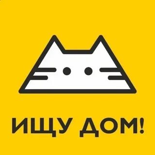 Она ищет дом