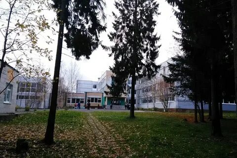 Сайт лицея 13 петрозаводска