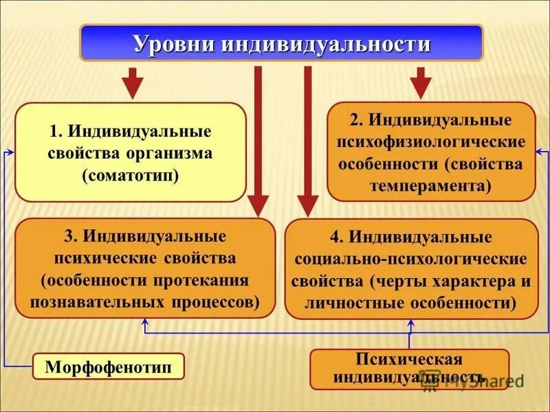 индивидуально-психологические особенности личности. индивидуальность человека. уровни психической организации человека. социальная компетентность на уровне индивида. стадии жизненного цикла семьи таблица.