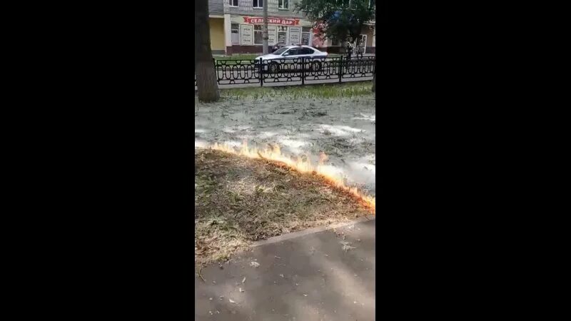 Киров ул архитектора валерия зянкина 11. Московская 135 киров. Перекресток калинина великие луки. Отрубленная коровья башка. Киров без цен.