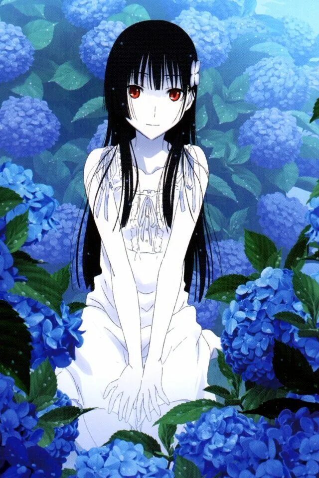 Санка рея цветы. Санка рэа. Санка рэа цветы. Санка рэа (2012). Sankarea.