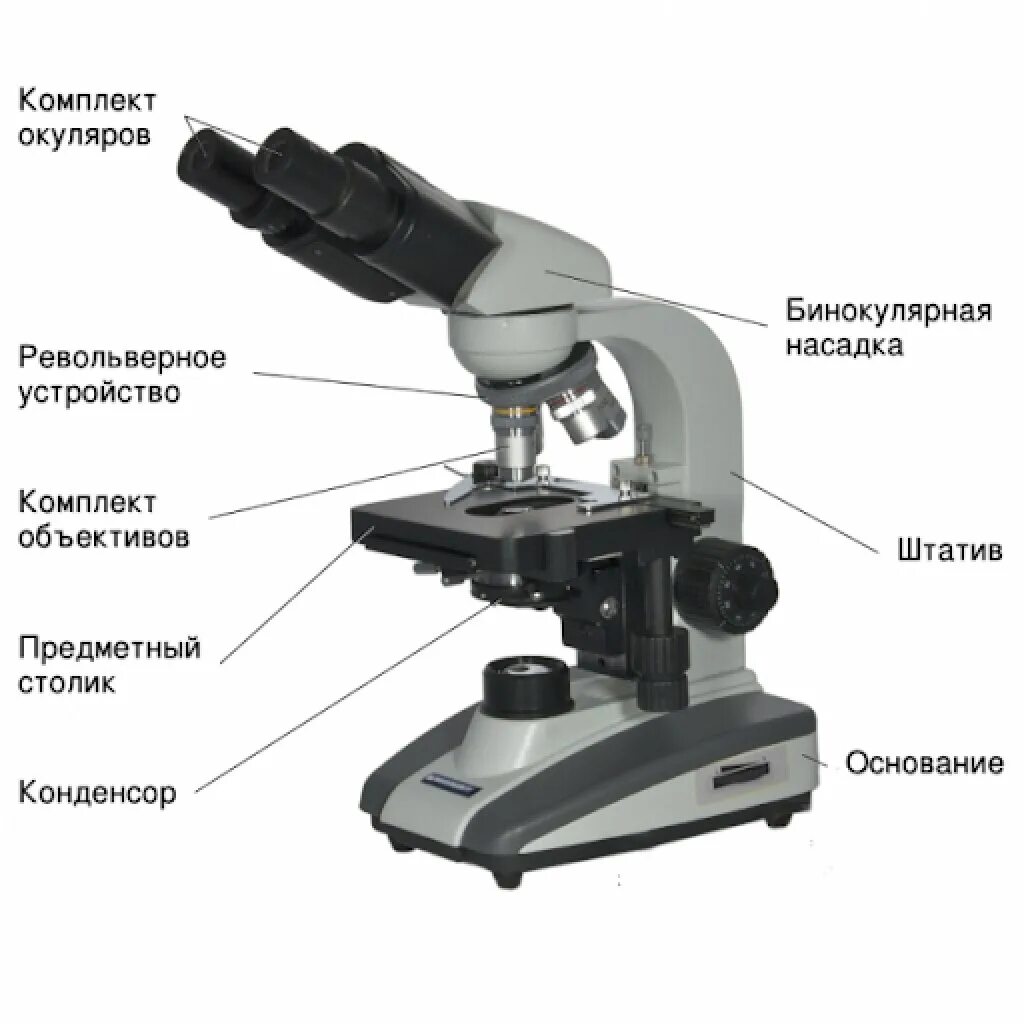 Строение микроскопа Биомед 2. Строение светового микроскопа Микмед 5. Микроскоп Биомед 5(бинокулярный). Цифровой микроскоп бинокулярный (с камерой). Каждая часть микроскопа