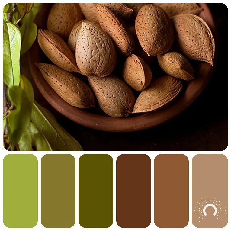 Миндаль крайола. С чем сочетается миндаль. Коричневая палитра. С чем сочетается миндаль. Миндаль фисташки кешью фундук грецкий орех.