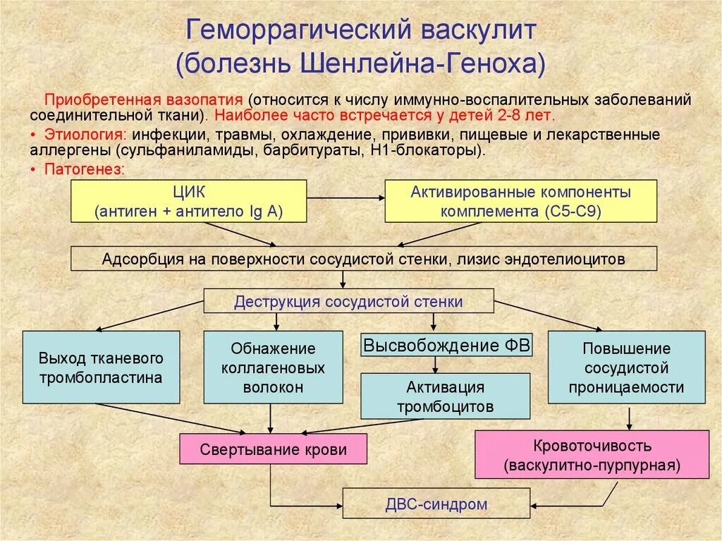 Васкулит патогенез. Патогенез болезни Шенлейн-Геноха. Васкулит Шенлейна Геноха патогенез. Геморрагический васкулит патогенез. Геморрагический васкулит у детей этиология.