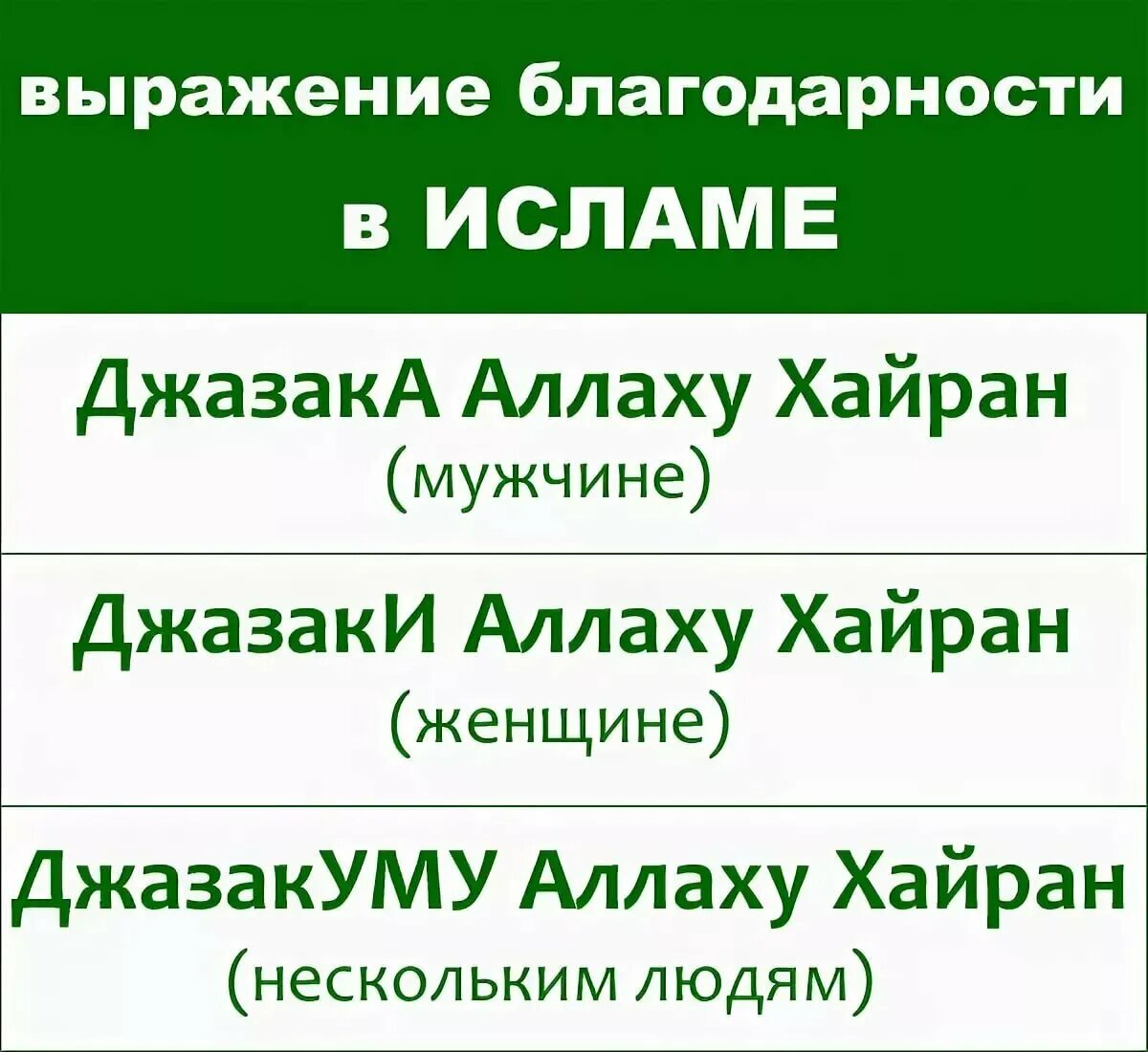 Говорить по мусульмански. ДЖАЗАКАЛЛАХУ хайран женщине.