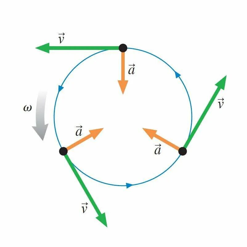 Время движения по кругу. Вектор центростремительного ускорения. Движение по кругу центростремительное ускорение. Движение по окружности центростремительное ускорение. Вектор движения по окружности.