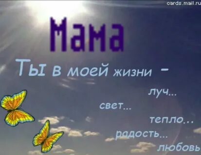 Не одна свет моей жизни
