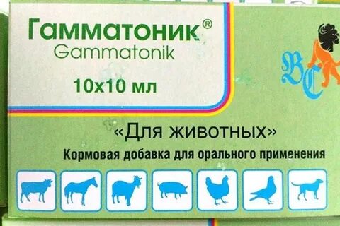 Гамматоник для цыплят бройлеров