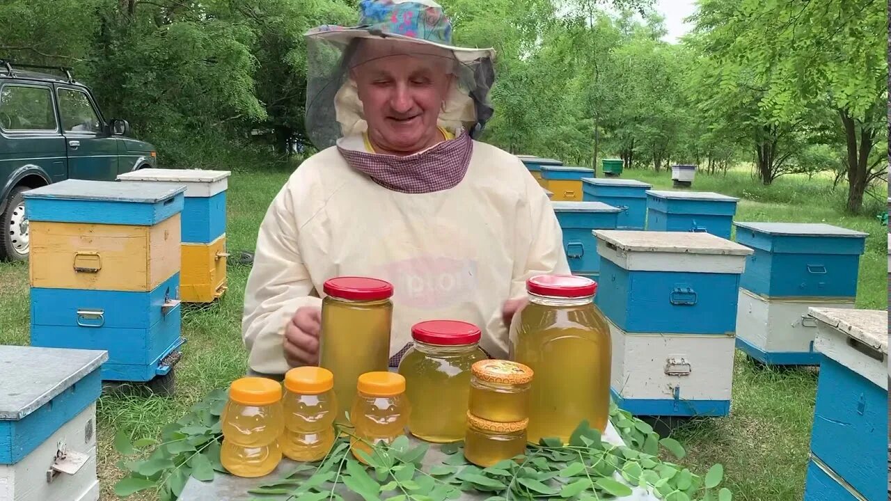 Пасека Шишкиных Телецкий мед. Пасека на белой акации. Пасечный.Акация.мед. Сбор меда на пасеке. Когда собирают мед