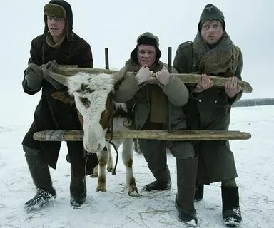 В созвездии быка 2003
