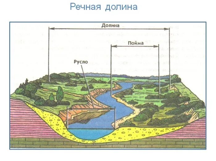 Площадь рек на земле. Русло пойма долина. долина пойма и русло реки. строение речной долины (русло, пойма, надпойменные террасы, старица). русло и пойма реки это.