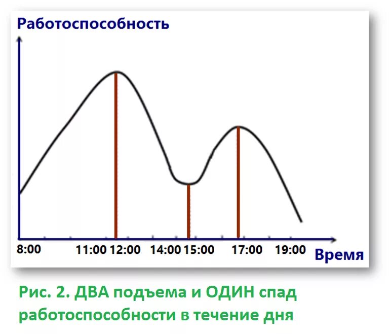 Работоспособность в течение дня. График работоспособности в течение суток. Кривая работоспособности в течение рабочего дня. Графикраьотоспособности. Отдыхать в течении дня