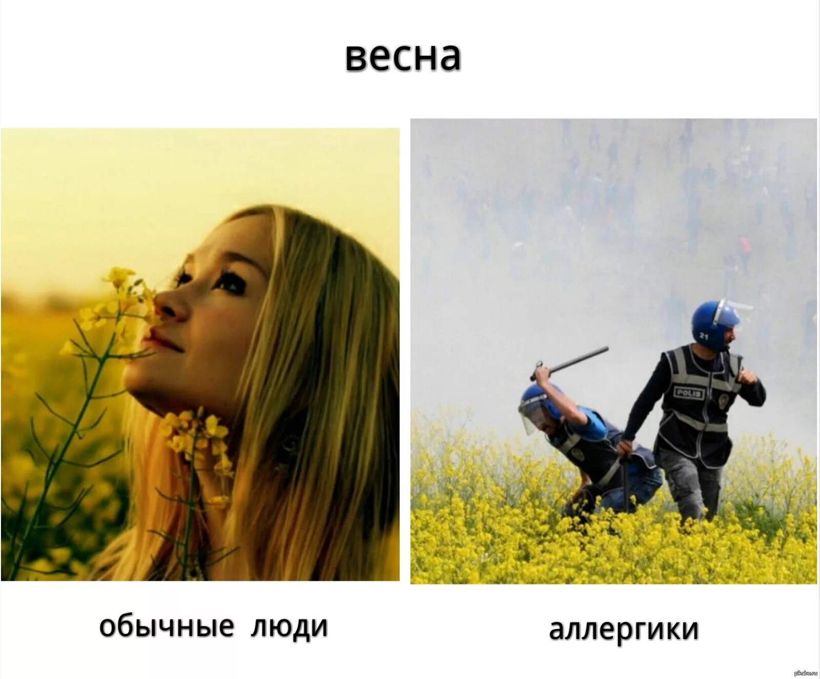 Надеюсь у тебя нет аллергии