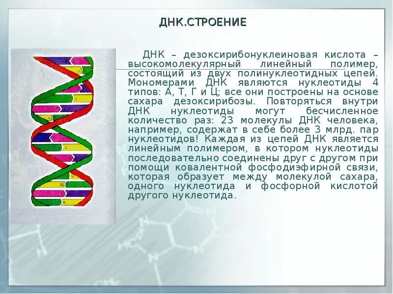 Выберите признаки молекулы днк. Расшифровка строения молекулы ДНК. Установление молекулярной структуры ДНК. Структура молекулы ДНК 9 класс. Расшифровка структуры молекулы ДНК.