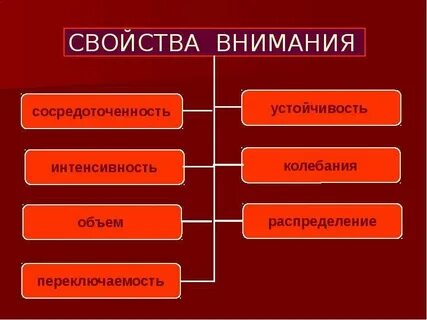 Какие свойства внимания проявляются в следующих ситуациях