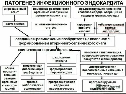 Тест инфекционный эндокардит и инфекция внутрисердечных
