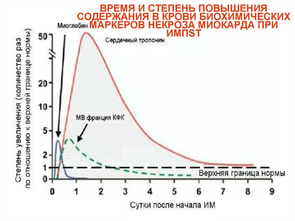 Алт при инфаркте миокарда. Алт при инфаркте миокарда. Алт при инфаркте миокарда. Показатели асат при инфаркте миокарда. Аст и алт при инфаркте миокарда.
