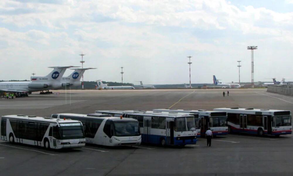 Москва воронеж. Автобус м17. Автобус воронеж. Воронеж москва внуково автобус. Перронный автобус внуково.