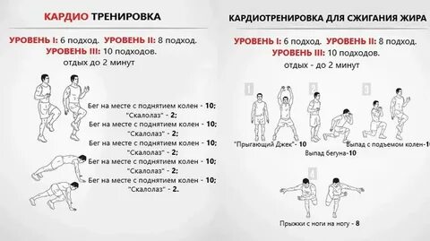 Тренировки кардио для похудения в зале